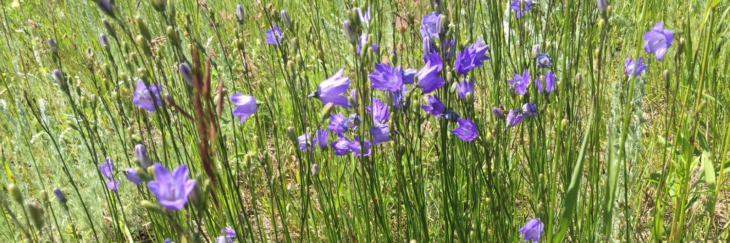 Kate_NatureYEG's profile banner image