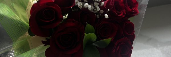 jasmineedai Profile Banner