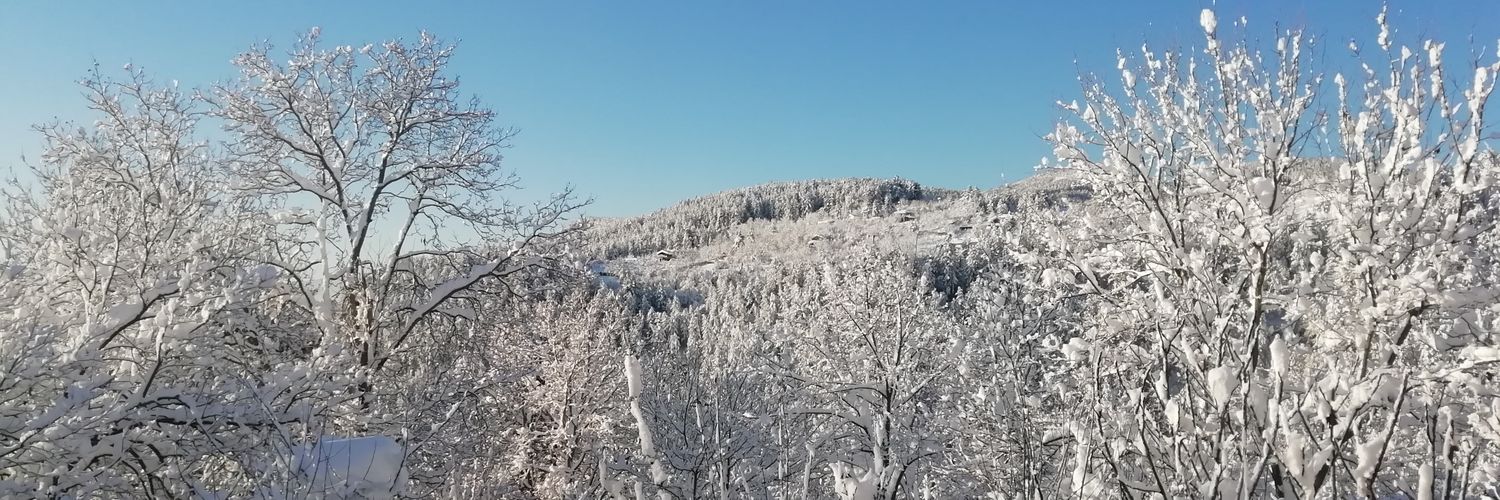 ayhansafran's profile banner image