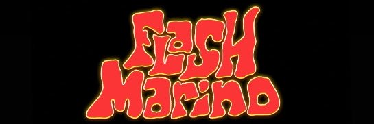 Freezer Flash banner