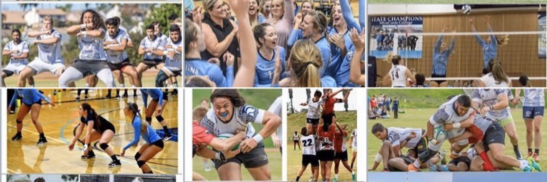 MiraCosta Athletics banner