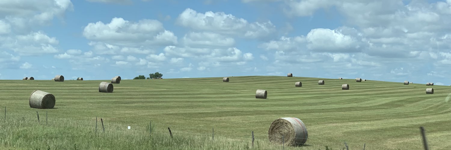 AMpplH8r's profile banner image