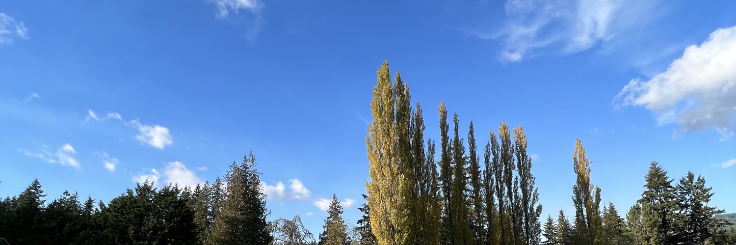 marcccoraty's profile banner image
