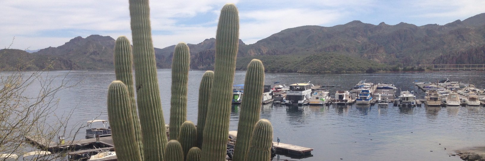 Mark Torregrossa banner