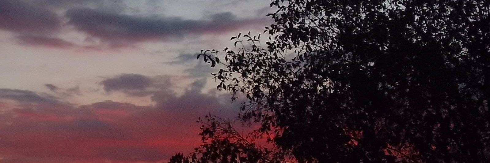 Mil banner