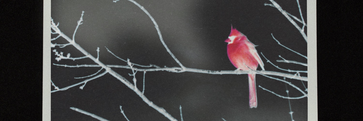 MattHylom's profile banner image