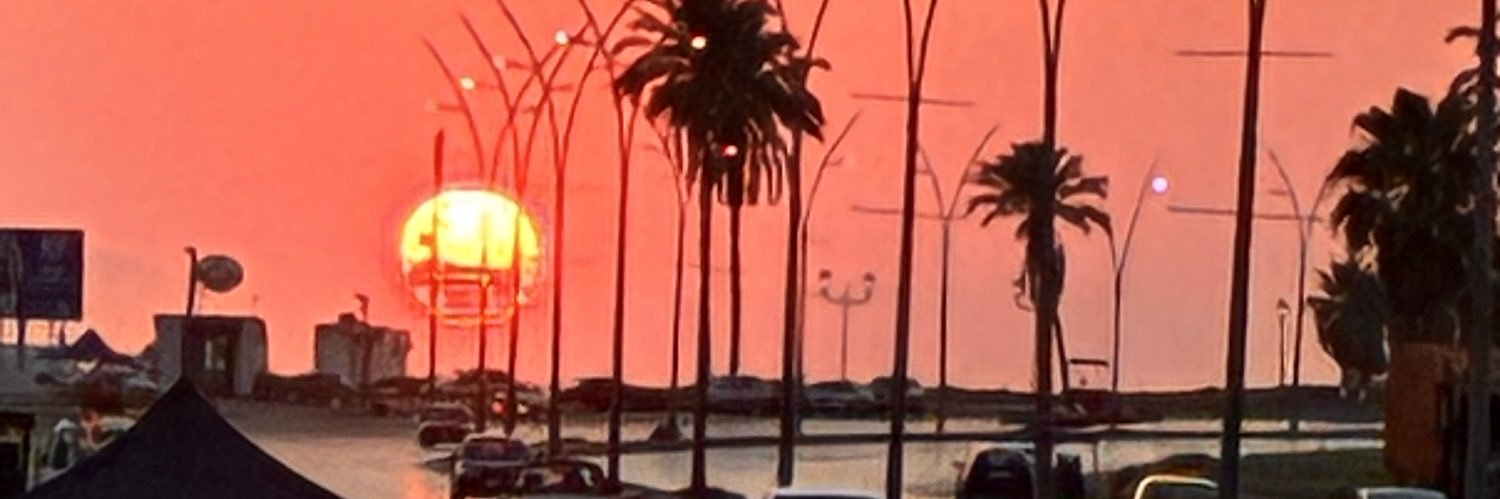 The Rebel Goy banner