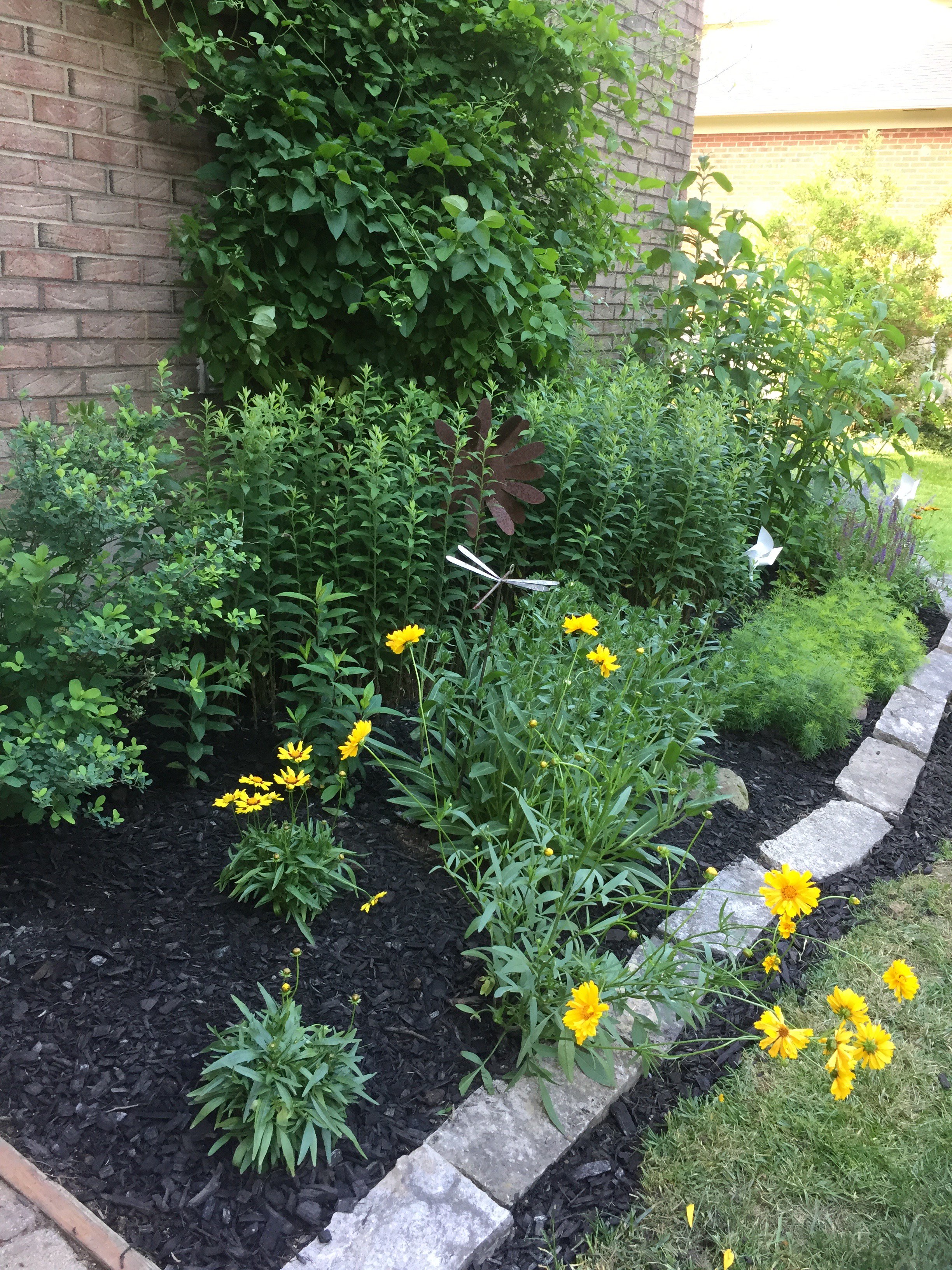 Laura Robinson banner