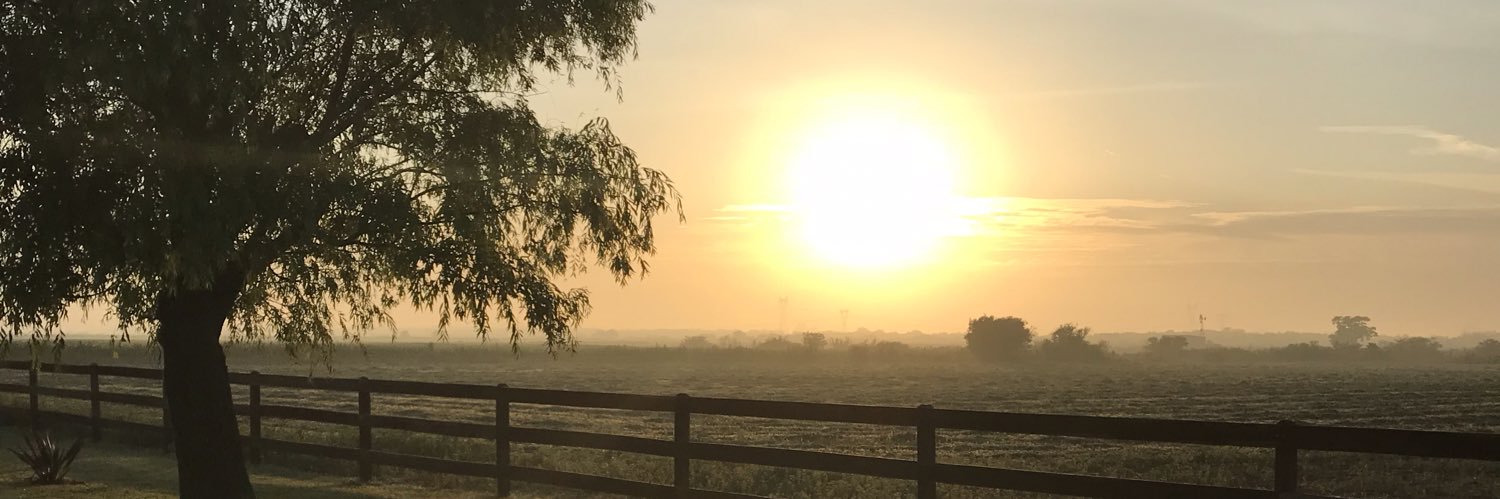vickymarcuzzi's profile banner image