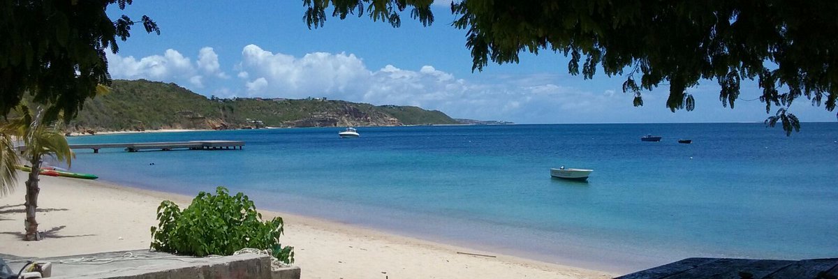 Carlene/I am because we are banner