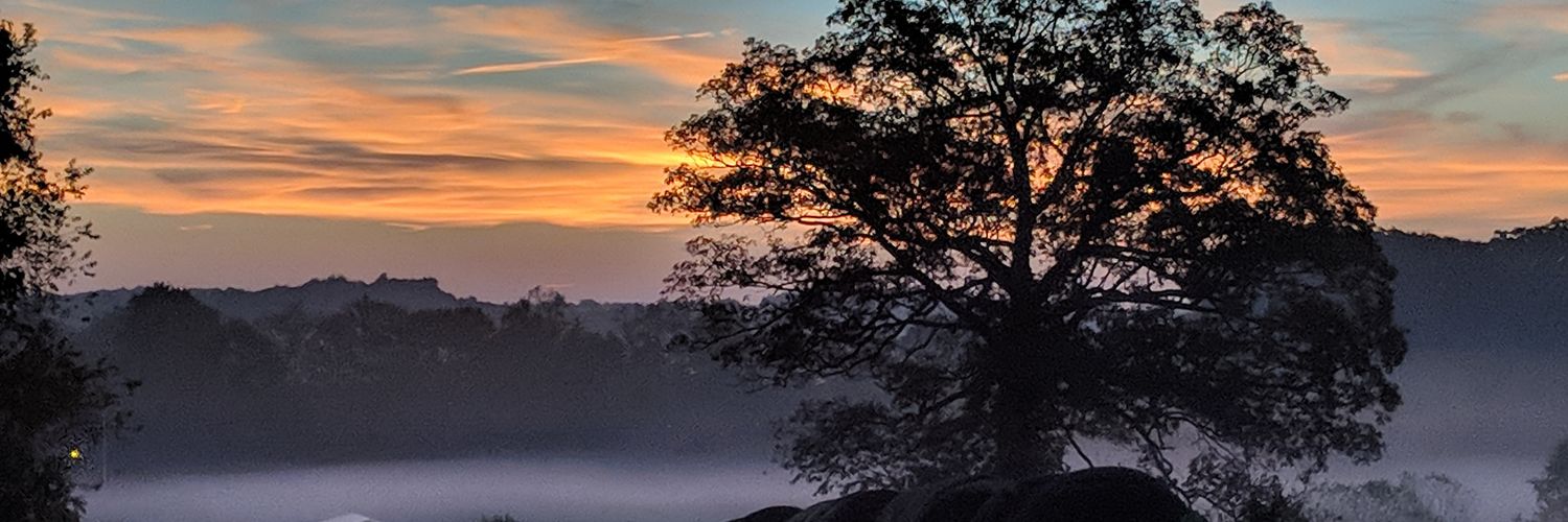 ColeChelle101's profile banner image