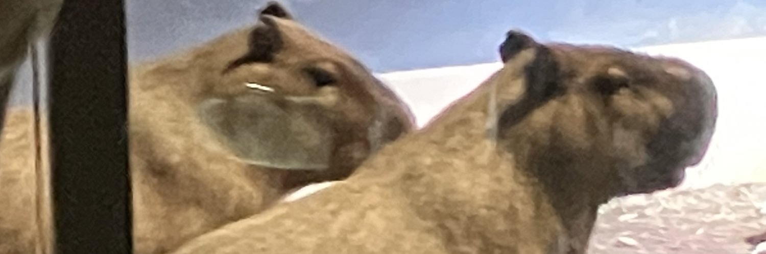 LoG banner