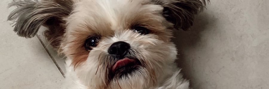 delfyselfy's profile banner image