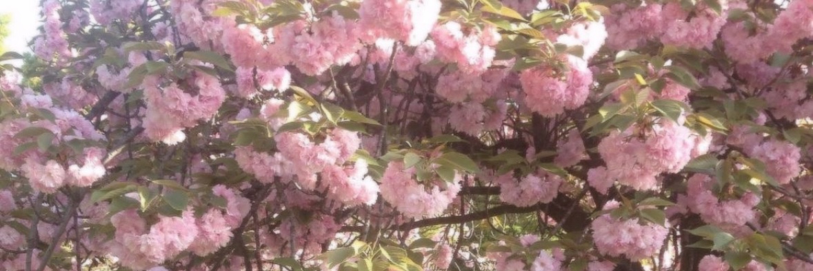 み banner