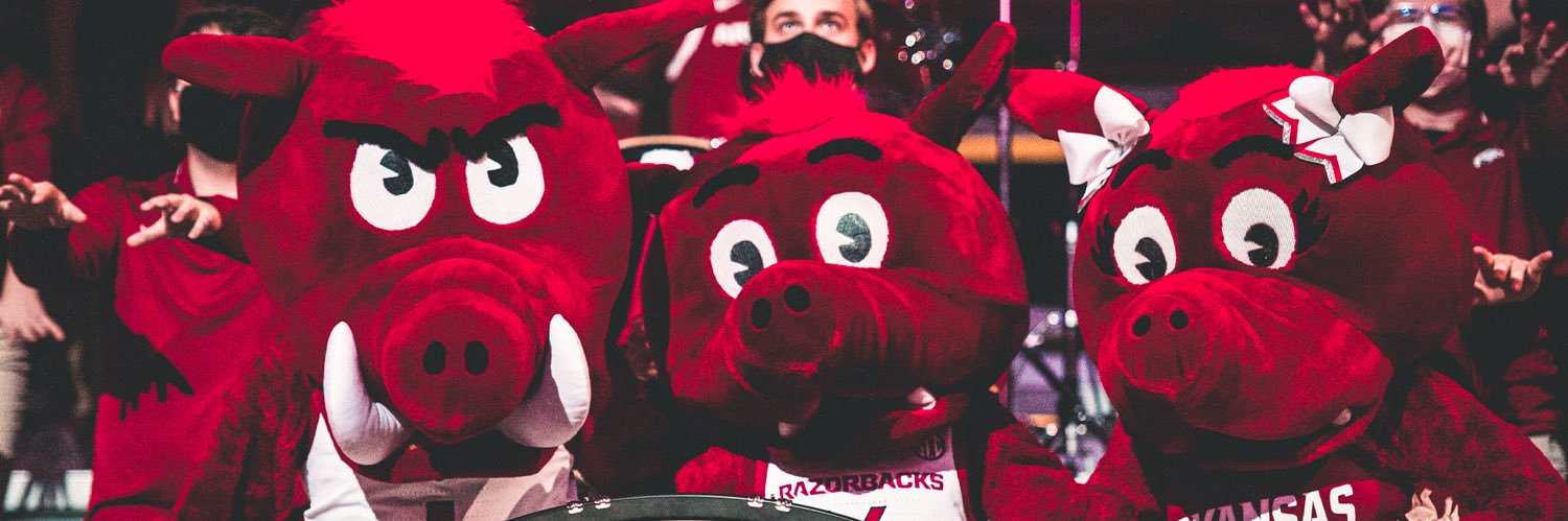 RazorbackBigRed's profile banner image
