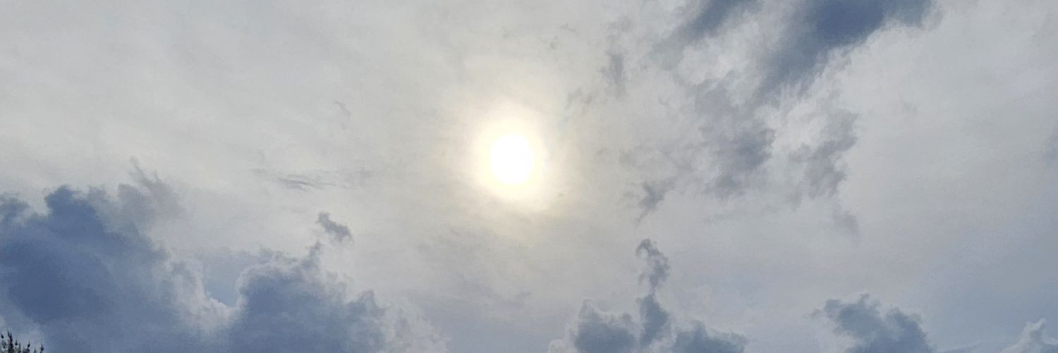 mlamagrande's profile banner image