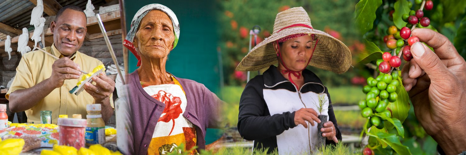 Fundación Sur Futuro banner