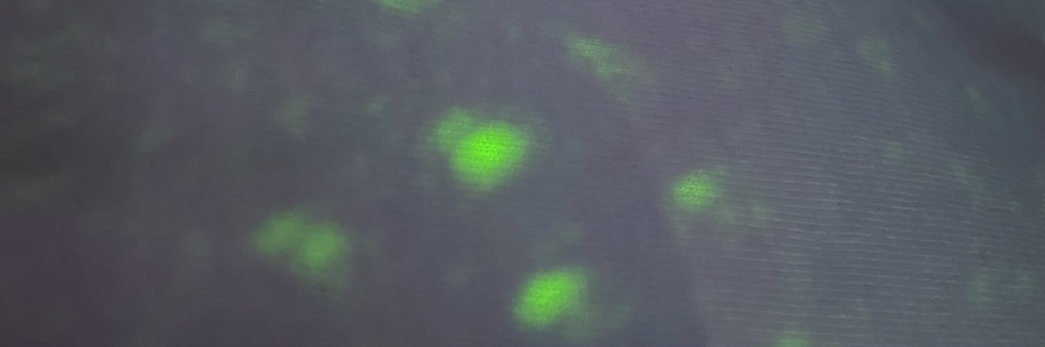 es esto y es el otro banner