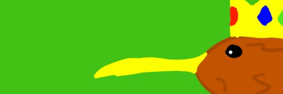 KiwiBirdKing3🇳🇿 banner