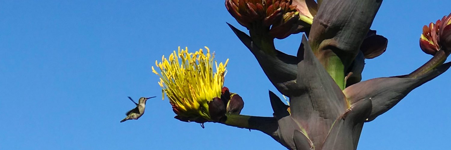 Mark J. Barsoum banner