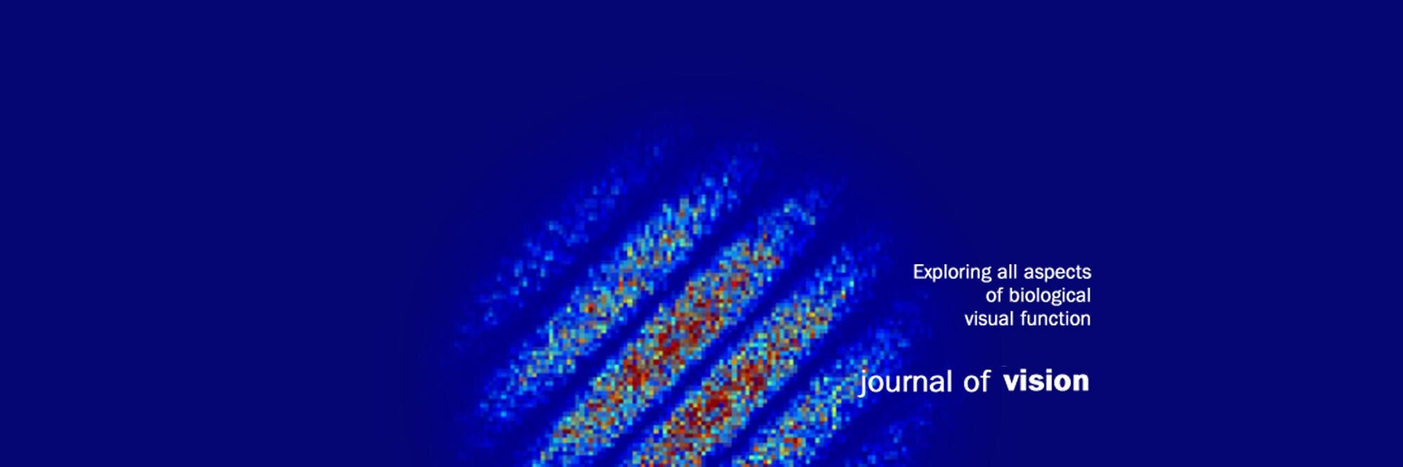 Journal of Vision's banner