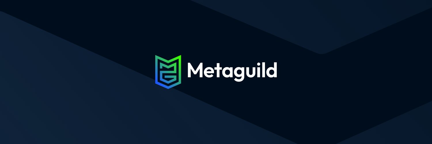 Metaguild's Old Handle. Follow @Metaguild banner