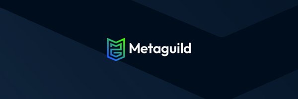 metaguildcom Profile Banner
