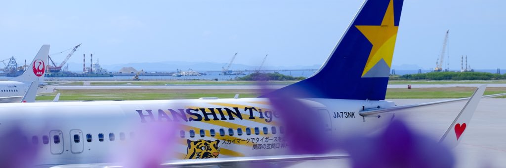 ぁゅ（神）✈️⭐️🐯 banner