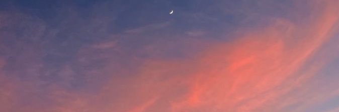MonTovi_'s profile banner image