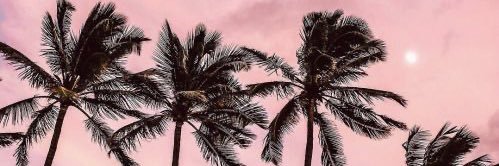 davidc_prine's profile banner image