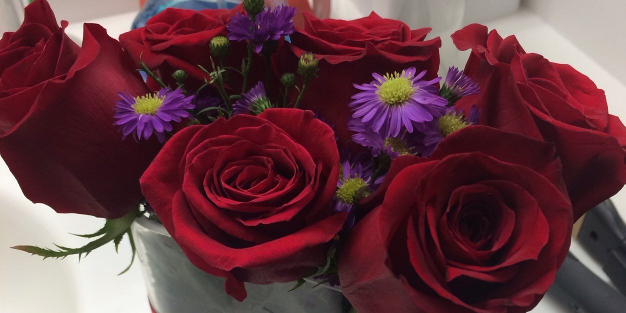 kholliday2808's profile banner image
