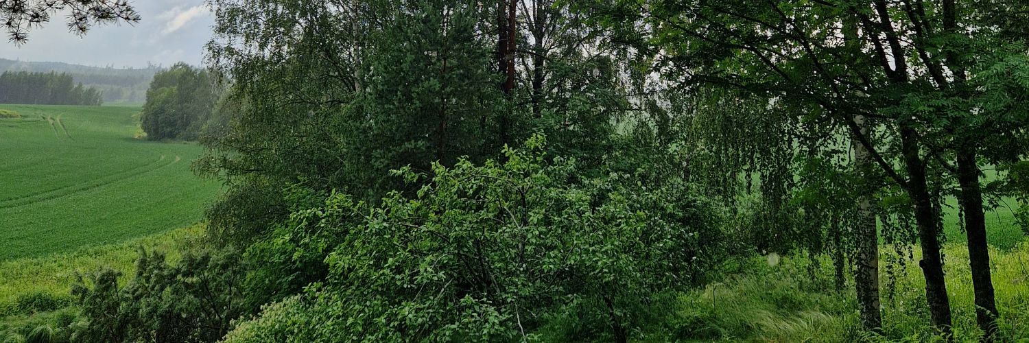 TainaK2017's profile banner image