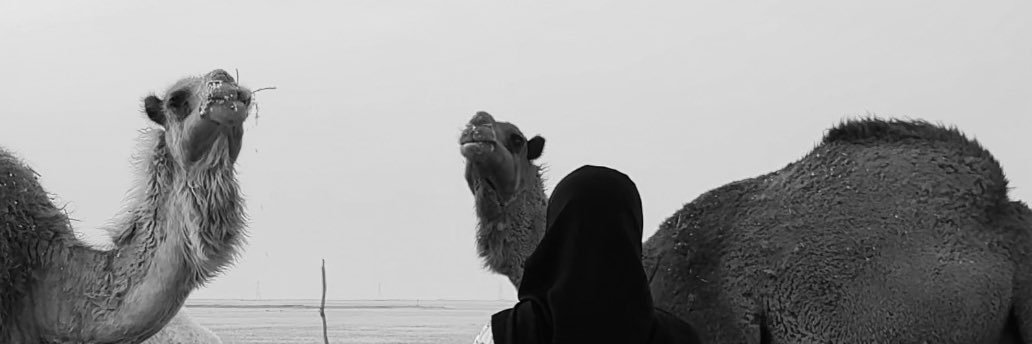 Mem5xa's profile banner image