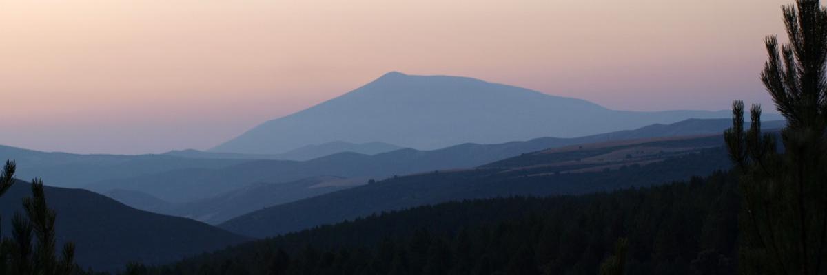 joyceemsmith's profile banner image