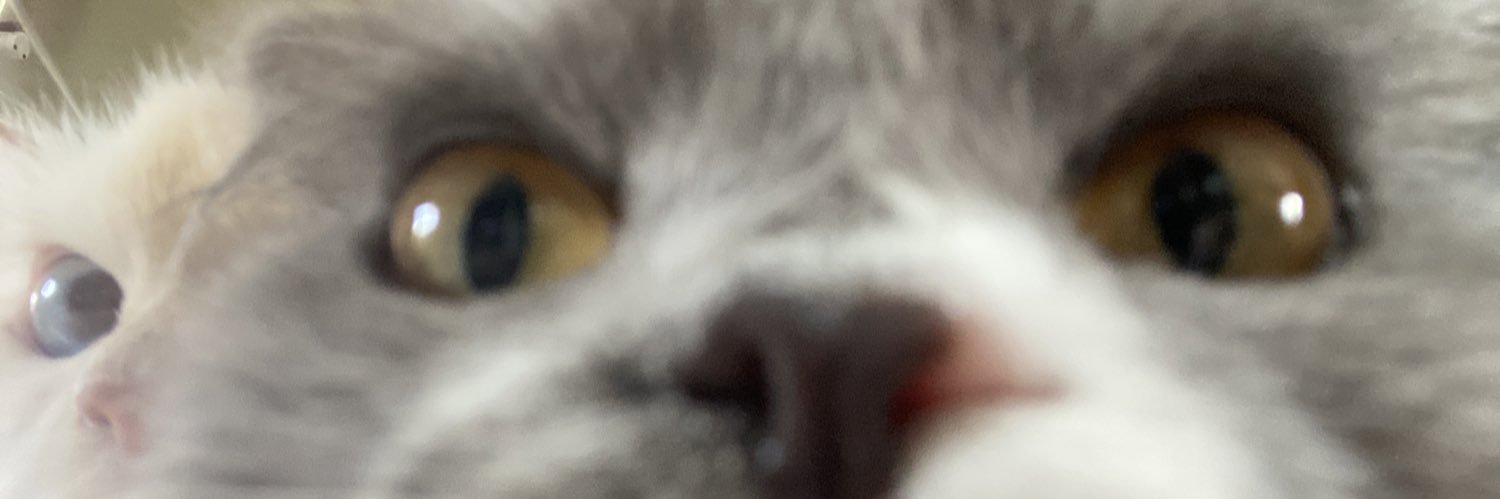strobarixx's profile banner image