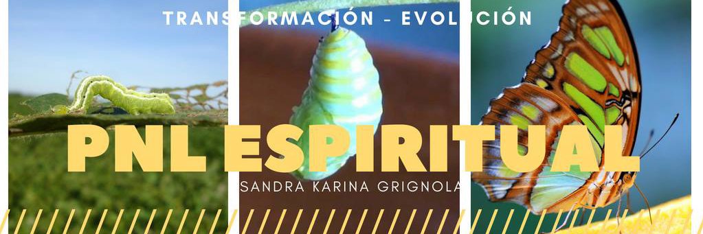 SANDRAGRIGNOLA's profile banner image