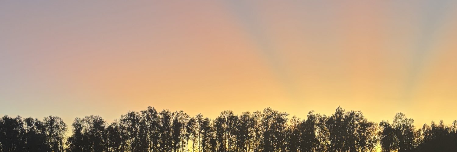 找个肌肉贱狗骚逼 banner