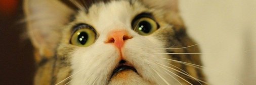 wipERcs2's profile banner image