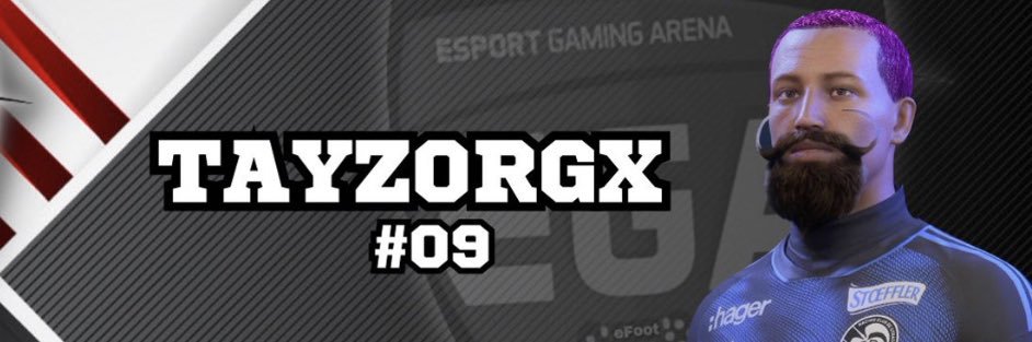 TayzorgX banner