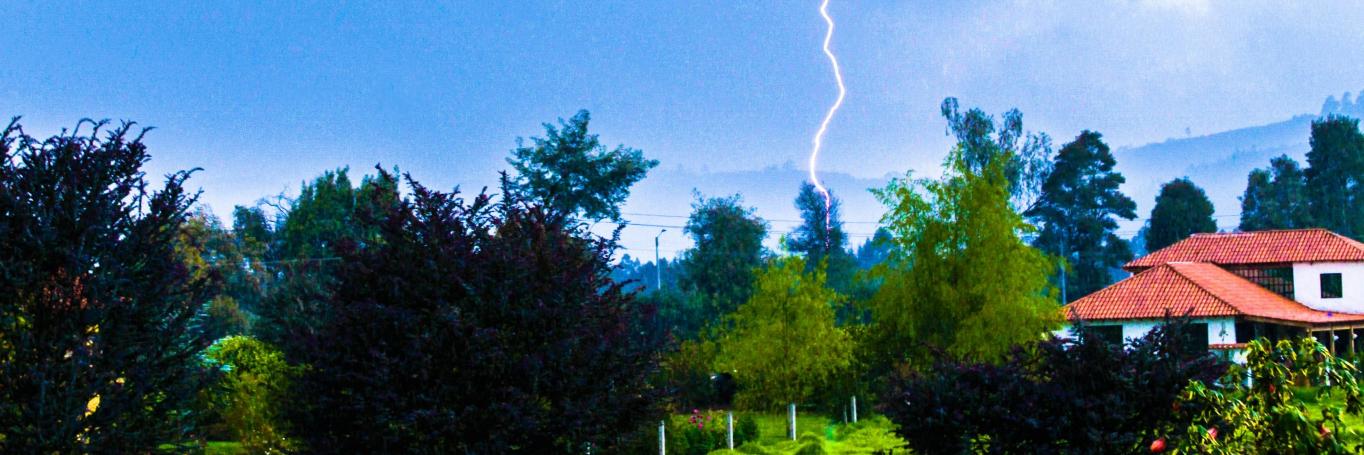 Diego Leonardo Rodríguez Ramos banner