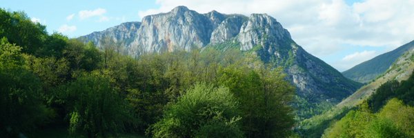 scotsrule08 Profile Banner