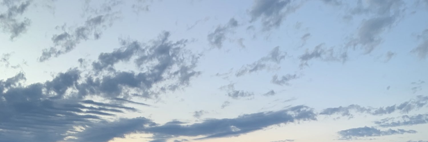 MckoySarah's profile banner image