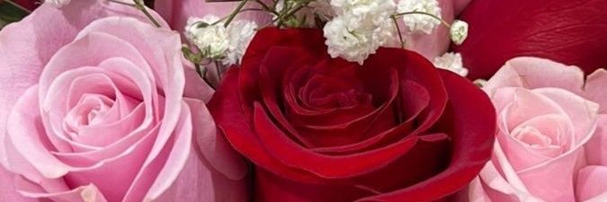 Cuite_Girls's profile banner image