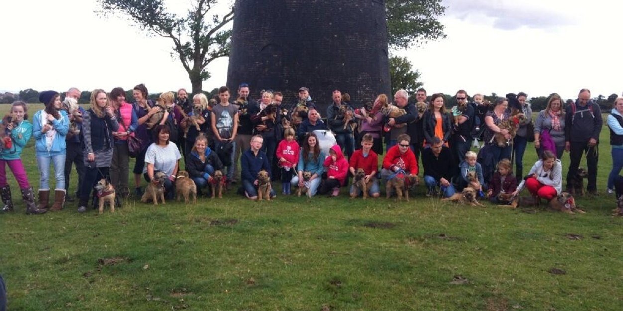 Lord Benson 🌈 banner