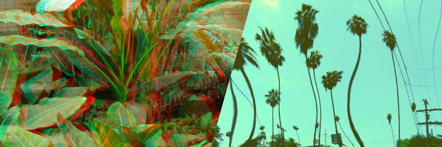 deepthiw's profile banner image