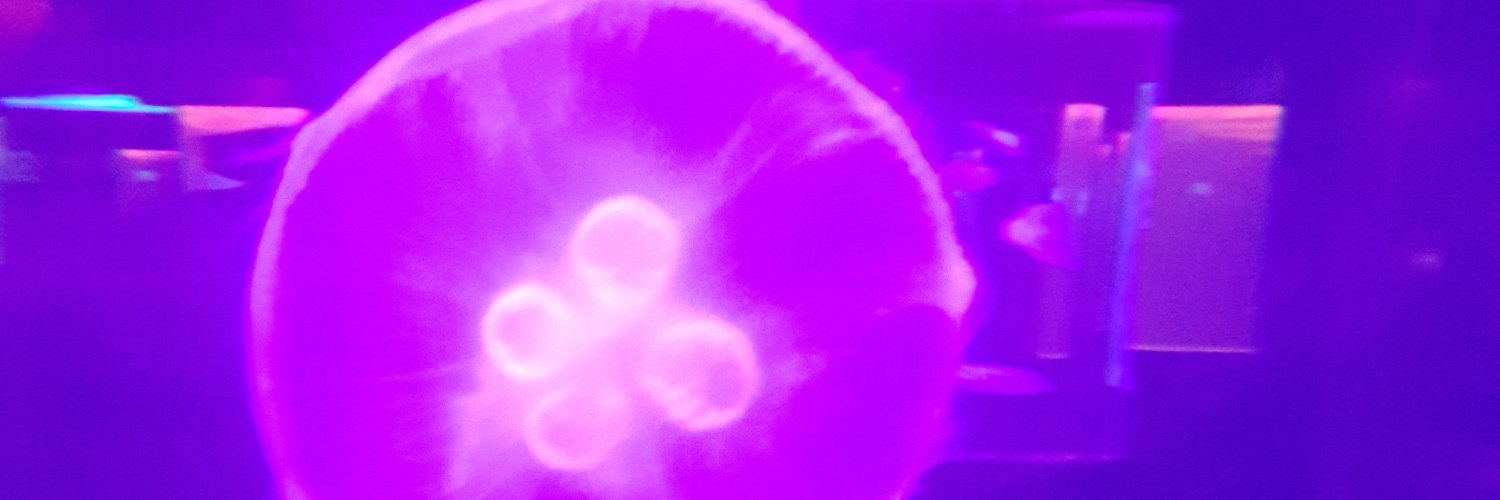kcraine's profile banner image