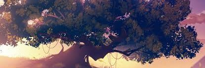 safrilsf's profile banner image