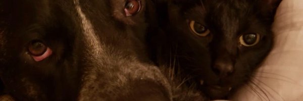 joansview Profile Banner