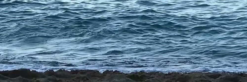David_Noceda17's profile banner image