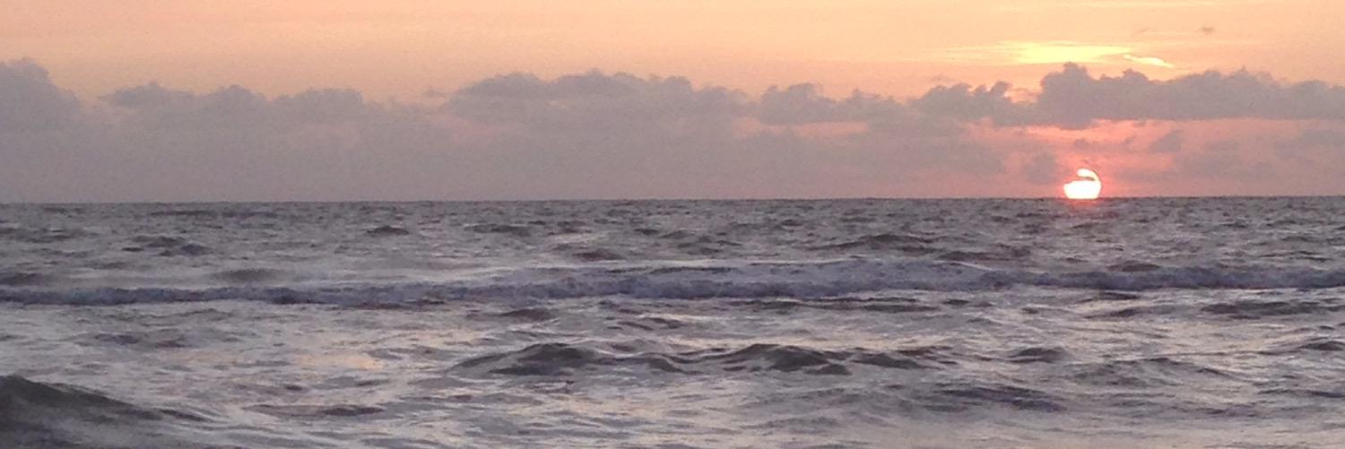 kellong314's profile banner image